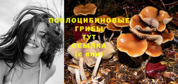 мескалин Аркадак