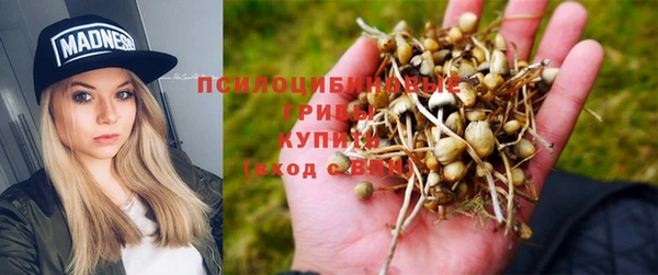 Альфа ПВП Алзамай